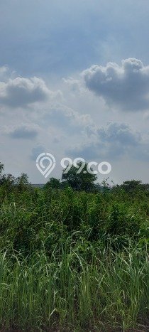 Jarang Ada! Tanah di Cikupa Punya Luas 5707m2 - Jarang Ada! Tanah di Cikupa Punya Luas 5707m2 -