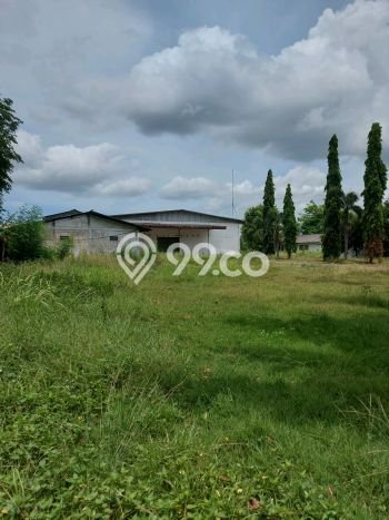 Gudang Disewa di Tangerang dengan LB 5000m2 Area Komersial Ramai Gudang Disewa di Tangerang dengan LB 5000m2 Area Komersial Ramai