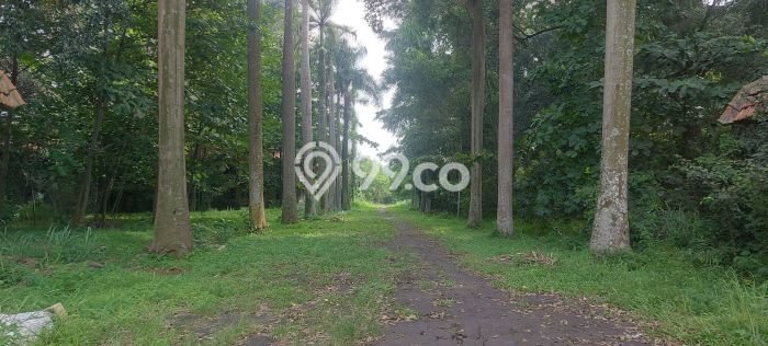 Untuk Dijual Tanah di Tangerang, Luas 60000m2 SHM Untuk Dijual Tanah di Tangerang, Luas 60000m2 SHM