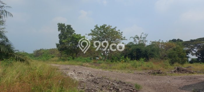Kavling Tanah untuk Dijual di Tangerang Kota, Tangerang, Luas 70000m2 Kavling Tanah untuk Dijual di Tangerang Kota, Tangerang, Luas 70000m2