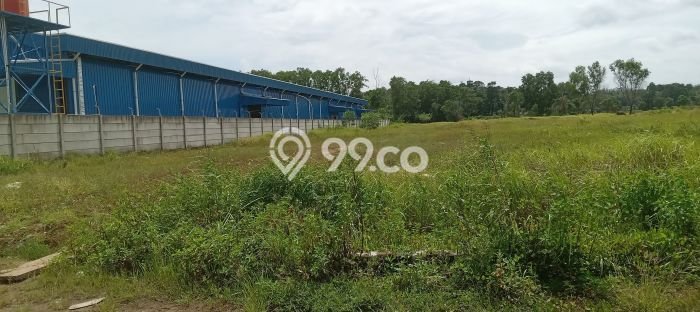 Tanah Kavling untuk Dijual di Tigaraksa Tangerang 3000m2 Tanah Kavling untuk Dijual di Tigaraksa Tangerang 3000m2