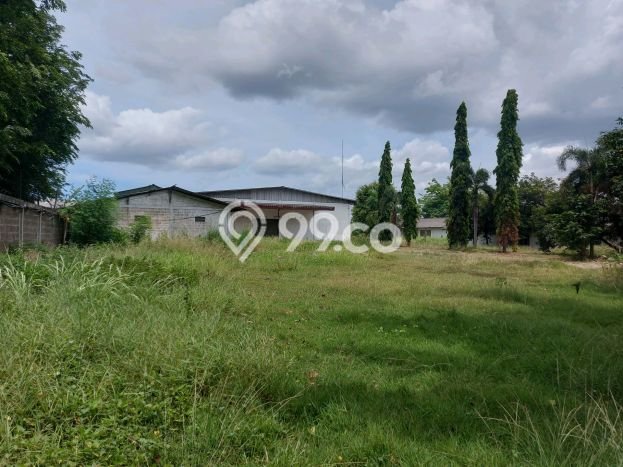 Gudang Disewa di Tangerang dengan LB 5000m2 Area Komersial Ramai Gudang Disewa di Tangerang dengan LB 5000m2 Area Komersial Ramai