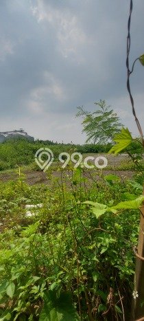 Tanah untuk Dijual Lokasi Cikupa, Tangerang Luas 70000m2 - Tanah untuk Dijual Lokasi Cikupa, Tangerang Luas 70000m2 -