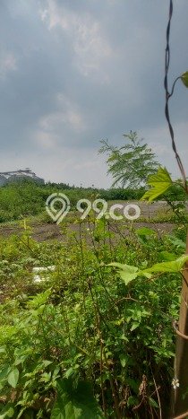 Tanah untuk Dijual Lokasi Cikupa, Tangerang Luas 70000m2 - Tanah untuk Dijual Lokasi Cikupa, Tangerang Luas 70000m2 -