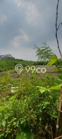 Tanah Kavling untuk Dijual di Cikupa Tangerang 70000m2 Tanah Kavling untuk Dijual di Cikupa Tangerang 70000m2