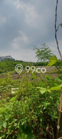 Tanah Kavling untuk Dijual di Cikupa Tangerang 70000m2 Tanah Kavling untuk Dijual di Cikupa Tangerang 70000m2