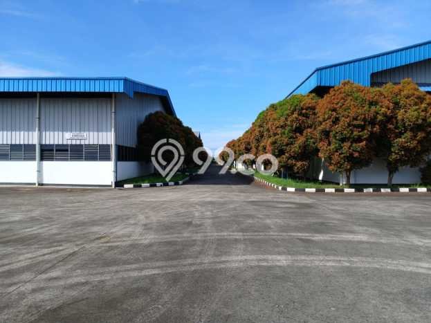Gudang disewakan lokasi strategis Ciruas Serang 14400m2 Gudang disewakan lokasi strategis Ciruas Serang 14400m2