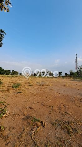Tanah di Tembalang, Luas 1000m2m², Lokasi Strategis Tanah di Tembalang, Luas 1000m2m², Lokasi Strategis