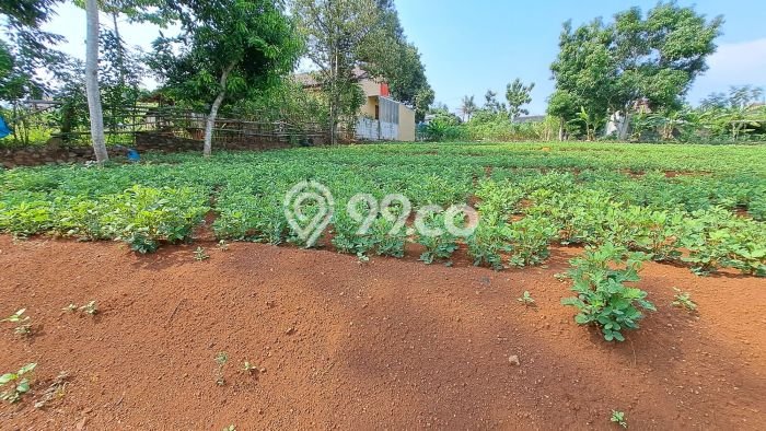 Tanah Kosong Dijual di Semarang dengan Area 867m2 Tanah Kosong Dijual di Semarang dengan Area 867m2