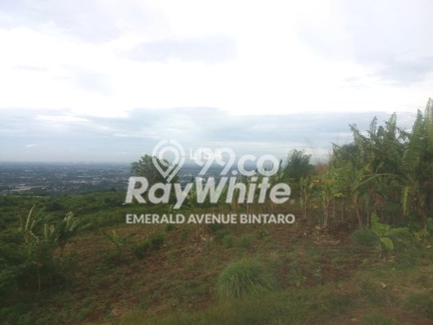 Kavling Tanah Dijual di Sentul Bogor Spesifikasi 993800m2 Kavling Tanah Dijual di Sentul Bogor Spesifikasi 993800m2