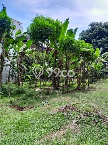 Tanah Kavling Dijual di Tangerang dengan Spesifikasi 442m2 Tanah Kavling Dijual di Tangerang dengan Spesifikasi 442m2