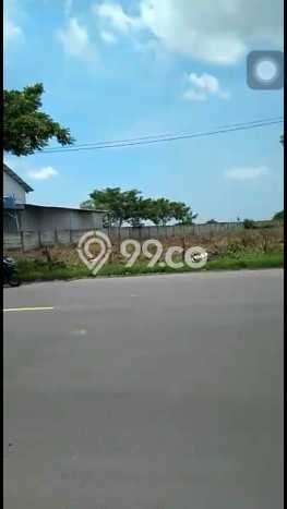 Kavling Tanah Dijual di Widang Tuban Spesifikasi 40000m2 Kavling Tanah Dijual di Widang Tuban Spesifikasi 40000m2
