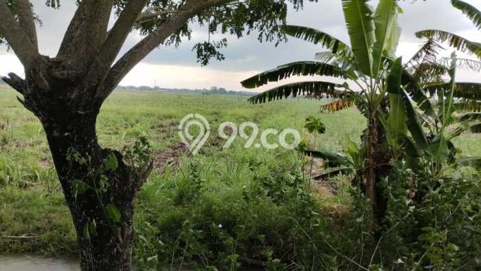 Lahan Strategis di Kemlagi Dijual dengan Luas 11000m2 Lahan Strategis di Kemlagi Dijual dengan Luas 11000m2