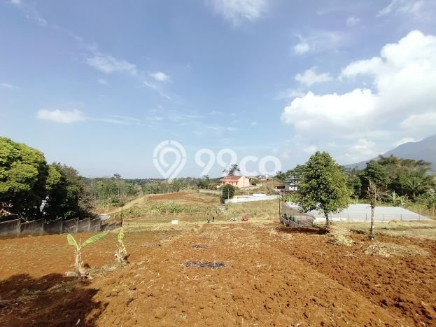 Tanah Area Prospektif Kawasan Jatinangor, Luas 795m², Dekat ke Pusat Kota, Lingkungan Asri Tanah Area Prospektif Kawasan Jatinangor, Luas 795m², Dekat ke Pusat Kota, Lingkungan Asri