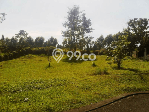 Tanah Kavling Dijual di Bogor dengan Spesifikasi 1543m2 Tanah Kavling Dijual di Bogor dengan Spesifikasi 1543m2