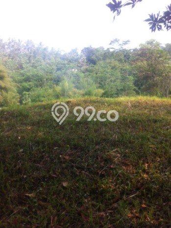 Tanah Kavling Dijual di Bogor dengan Spesifikasi 1543m2 Tanah Kavling Dijual di Bogor dengan Spesifikasi 1543m2