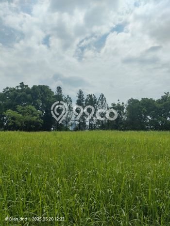 Tanah Dijual Area Strategis di Sentul City Bogor 2132m2 Tanah Dijual Area Strategis di Sentul City Bogor 2132m2
