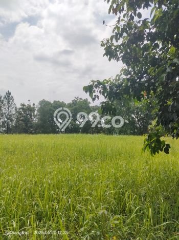 Tanah Dijual Area Strategis di Sentul City Bogor 2132m2 Tanah Dijual Area Strategis di Sentul City Bogor 2132m2
