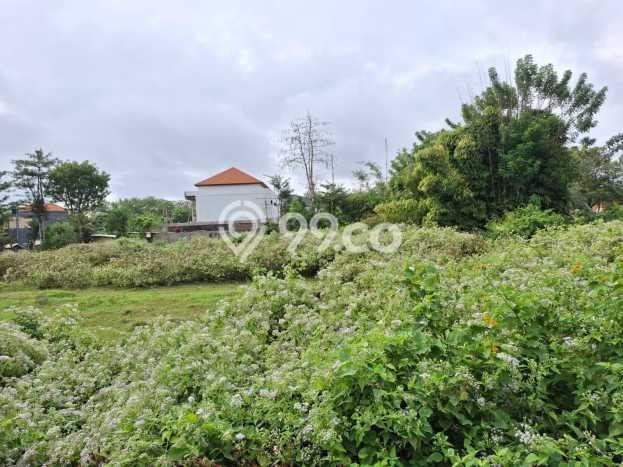 Tanah Investasi Dijual di Badung Punya Luas 335m2 Tanah Investasi Dijual di Badung Punya Luas 335m2