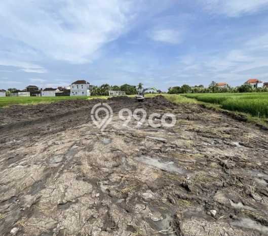 Tanah Dijual di Tabanan Seluas 100m2 Strategis Tanah Dijual di Tabanan Seluas 100m2 Strategis