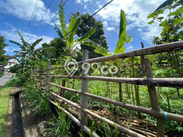 Tanah Kavling Dijual di Jimbaran, Badung dengan Luas Tanah 308m2 Tanah Kavling Dijual di Jimbaran, Badung dengan Luas Tanah 308m2
