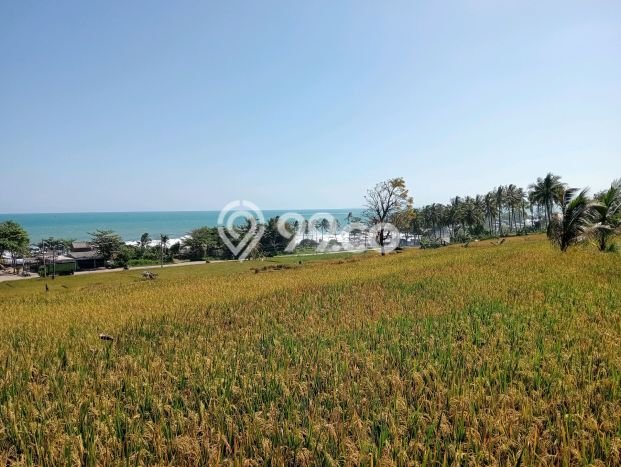 Kavling Tanah Dijual di Cihara Lebak Spesifikasi 26000m2 Kavling Tanah Dijual di Cihara Lebak Spesifikasi 26000m2