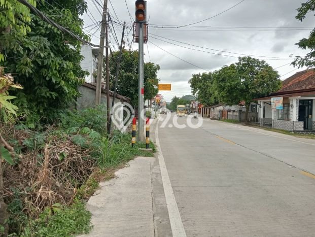 Jarang Ada! Tanah di Bayah Punya Luas 300m2 SHM Jarang Ada! Tanah di Bayah Punya Luas 300m2 SHM