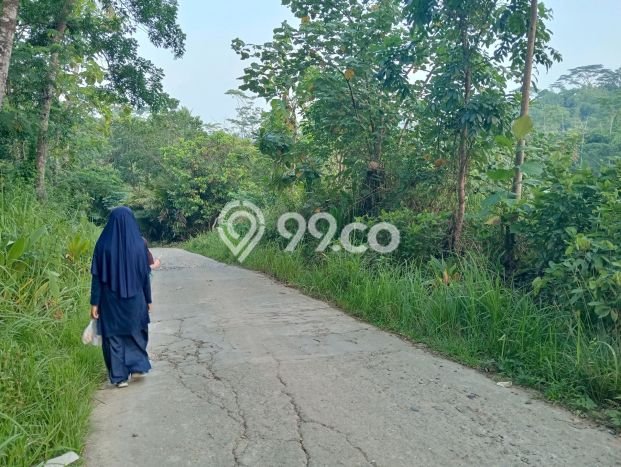Lahan Kosong Dijual di Panggarangan, Lebak, Luas 8605m2 Area Strategis Lahan Kosong Dijual di Panggarangan, Lebak, Luas 8605m2 Area Strategis