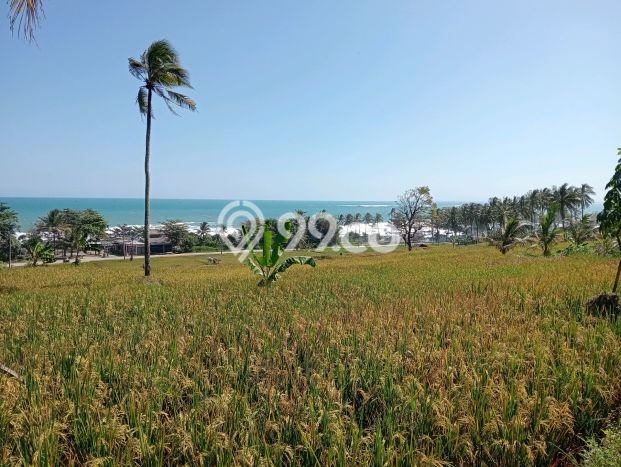 Tanah untuk Dijual di Bayah Lebak Luas 56000m2 Tanah untuk Dijual di Bayah Lebak Luas 56000m2