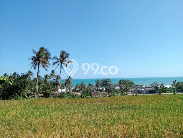 Tanah untuk Dijual di Bayah Lebak Luas 56000m2 Tanah untuk Dijual di Bayah Lebak Luas 56000m2
