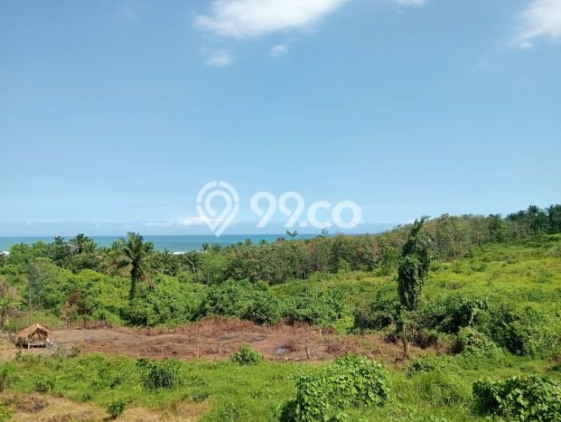 Tanah Dijual Lokasi Panggarangan, Lebak Luas 250000m2 Legalitas Aman Tanah Dijual Lokasi Panggarangan, Lebak Luas 250000m2 Legalitas Aman