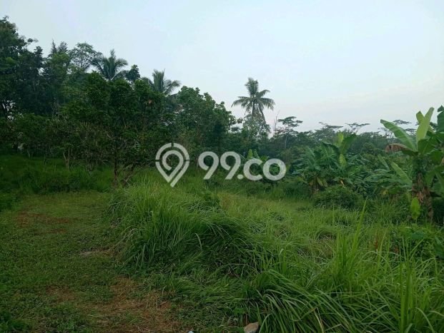 Tanah Dijual Area Strategis di Tegalwaru Purwakarta 200000m2 Tanah Dijual Area Strategis di Tegalwaru Purwakarta 200000m2
