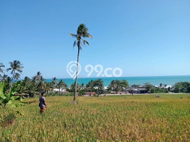 Tanah untuk Dijual di Bayah Lebak Luas 56000m2 Tanah untuk Dijual di Bayah Lebak Luas 56000m2