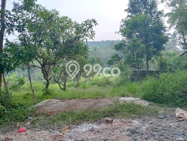 Kavling Tanah di Bayah Dijual Luas 8605m2 Legalitas SHM Kavling Tanah di Bayah Dijual Luas 8605m2 Legalitas SHM