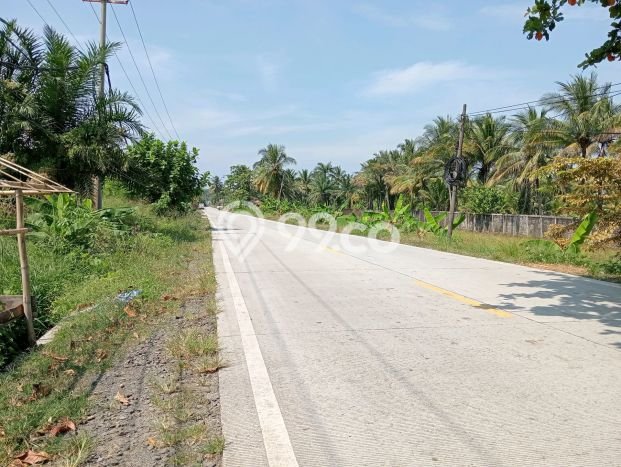 Lahan Kosong Dijual di Lebak dengan Area 10906m2 Lahan Kosong Dijual di Lebak dengan Area 10906m2