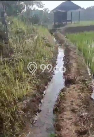 Tanah Dijual Lokasi Cirinten, Lebak dengan Luas Tanah 20000m2 dan Status SHM Tanah Dijual Lokasi Cirinten, Lebak dengan Luas Tanah 20000m2 dan Status SHM