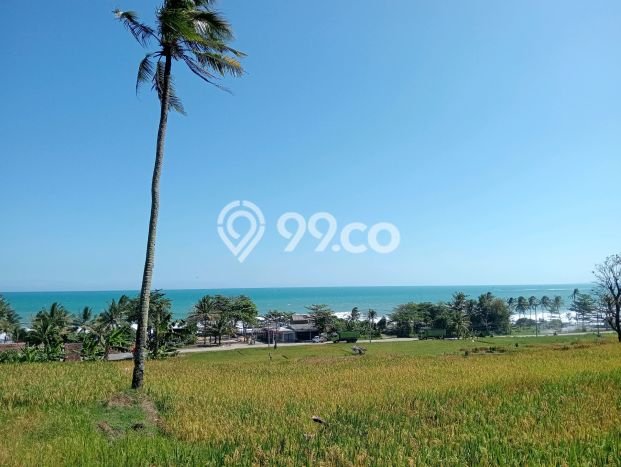Tanah untuk Dijual di Bayah Lebak Luas 56000m2 Tanah untuk Dijual di Bayah Lebak Luas 56000m2