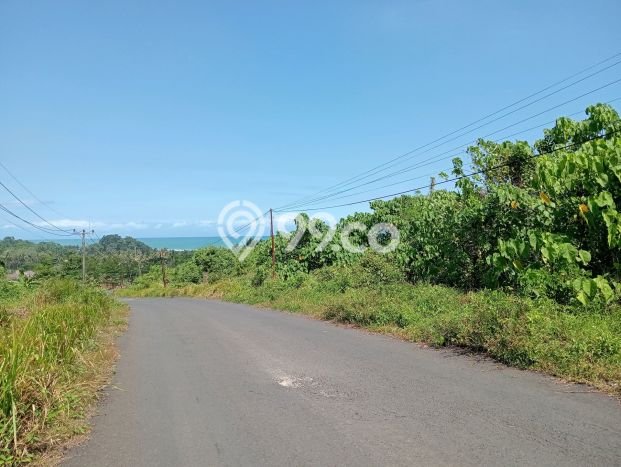 Tanah Dijual Lokasi Panggarangan, Lebak Luas 250000m2 Legalitas Aman Tanah Dijual Lokasi Panggarangan, Lebak Luas 250000m2 Legalitas Aman