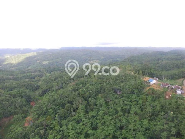 Lahan Investasi Lokasi Panggarangan Lebak HGU Lahan Investasi Lokasi Panggarangan Lebak HGU