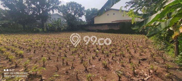 Lahan Strategis di Kemang Dijual dengan Luas 880m2 Lahan Strategis di Kemang Dijual dengan Luas 880m2