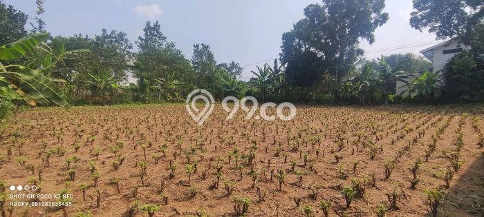 Lahan Strategis di Kemang Dijual dengan Luas 880m2 Lahan Strategis di Kemang Dijual dengan Luas 880m2