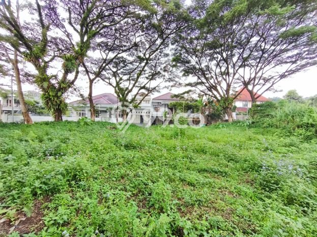 Tanah Dijual Lokasi Bogor Selatan, Bogor Luas 828m2 Legalitas Aman Tanah Dijual Lokasi Bogor Selatan, Bogor Luas 828m2 Legalitas Aman