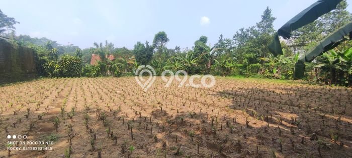 Lahan Strategis di Kemang Dijual dengan Luas 880m2 Lahan Strategis di Kemang Dijual dengan Luas 880m2