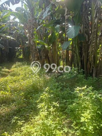 Dijual Tanah Lokasi Marunda, Jakarta Utara Seluas 140000m2 Dijual Tanah Lokasi Marunda, Jakarta Utara Seluas 140000m2