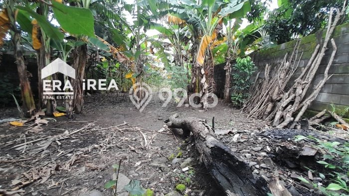 Kavling Tanah Dijual di Laweyan, Solo, Luas 887m2 Area Strategis Kavling Tanah Dijual di Laweyan, Solo, Luas 887m2 Area Strategis