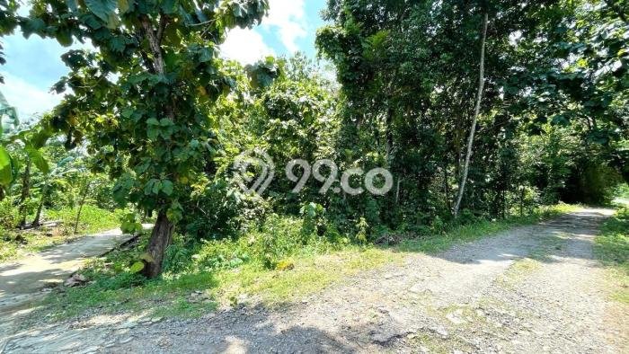 Lahan Dijual Lokasi Simo, Boyolali dengan Luas Tanah 5029m2 dan Status SHM Lahan Dijual Lokasi Simo, Boyolali dengan Luas Tanah 5029m2 dan Status SHM