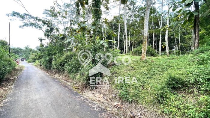 Lahan Investasi Lokasi Mojosongo Boyolali SHM Lahan Investasi Lokasi Mojosongo Boyolali SHM