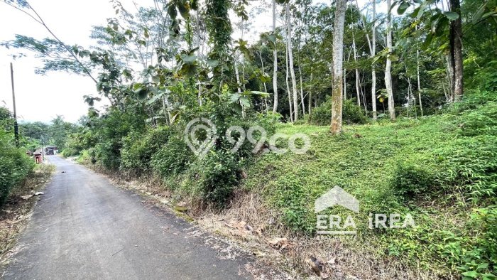 Lahan Investasi Lokasi Mojosongo Boyolali SHM Lahan Investasi Lokasi Mojosongo Boyolali SHM
