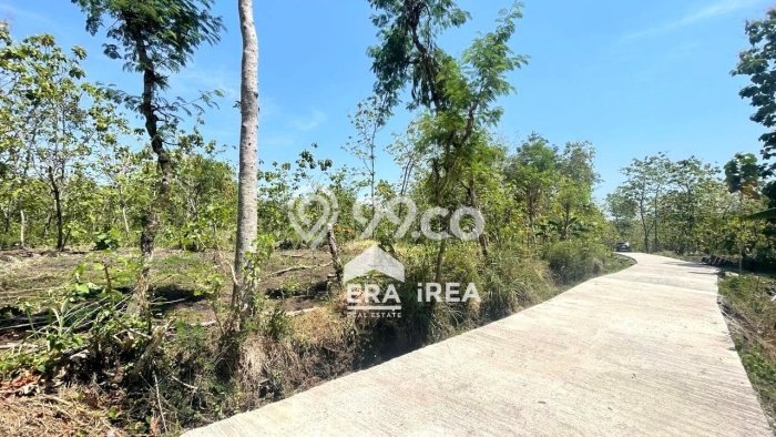 HARGA MENARIK! Tanah Kawasan Sambi, Luas 2489m², Kawasan Berkembang HARGA MENARIK! Tanah Kawasan Sambi, Luas 2489m², Kawasan Berkembang
