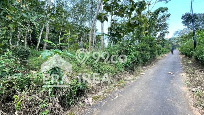 Lahan Investasi Lokasi Mojosongo Boyolali SHM Lahan Investasi Lokasi Mojosongo Boyolali SHM